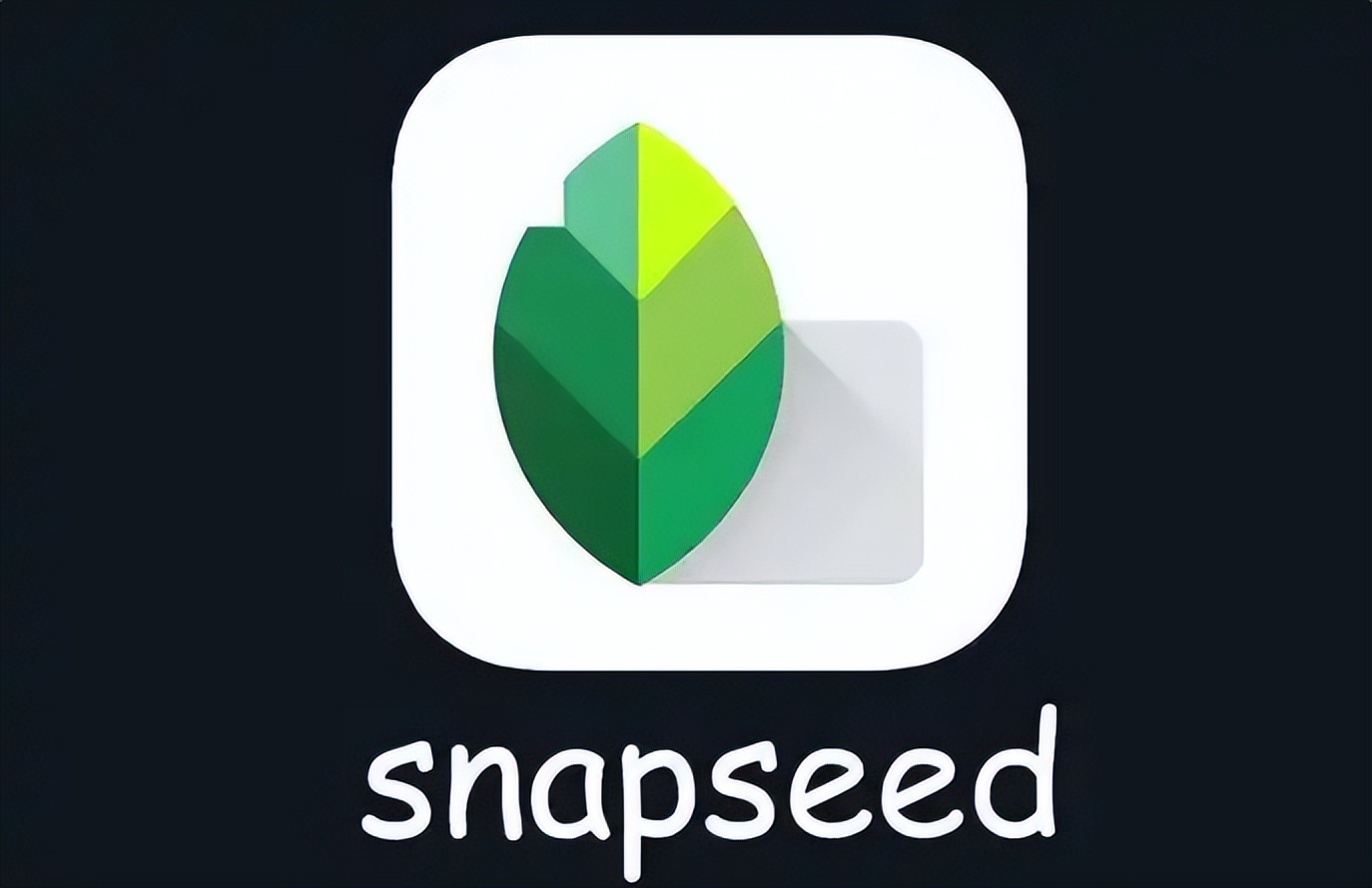 2025 热门去水印软件测评:8 款软件一键去除水印,适合新手!