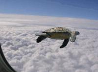 Win10做6项优化,不仅电脑变流畅,再用两三年都不是问题