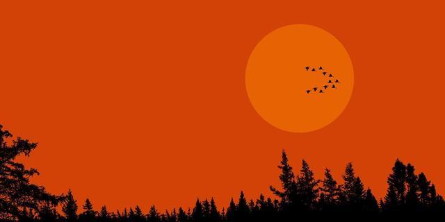 跟“真爱”在一起时,你会产生这5种强烈的感受