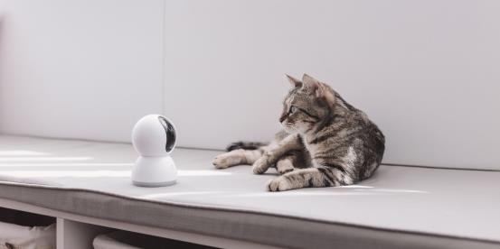 小米生态链又出新品 米家智能摄像机云台版/米家飞利浦智睿吸顶灯上市