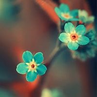 win10肿么修改win10开机logo