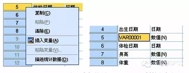 SPSS22：3.1.1 数据管理—插入变量
