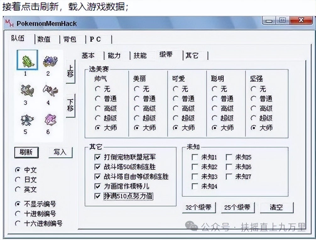 GBA口袋妖怪全能修改器PokemonMemHack