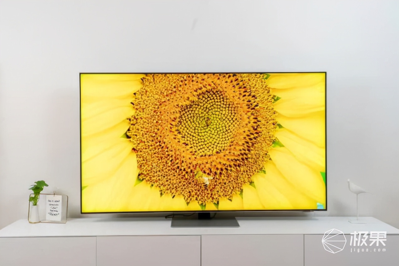 摄影师亲鉴!画质无死角、还能游戏带娃,一屏搞定全家“娱乐”