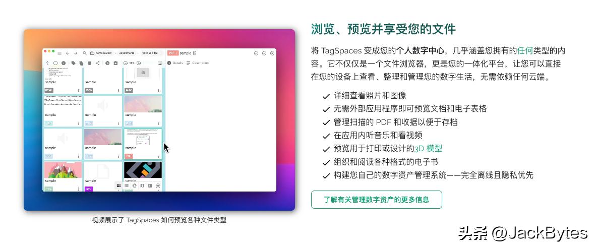 这个开源的本地文件管理工具,不用联网,功能超强大!