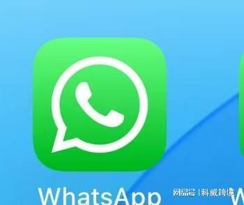whatsapp为什么收不到验证码