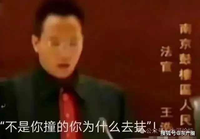 “不是你撞的，干嘛去扶”的法官：十七年后，各方煎熬的人生