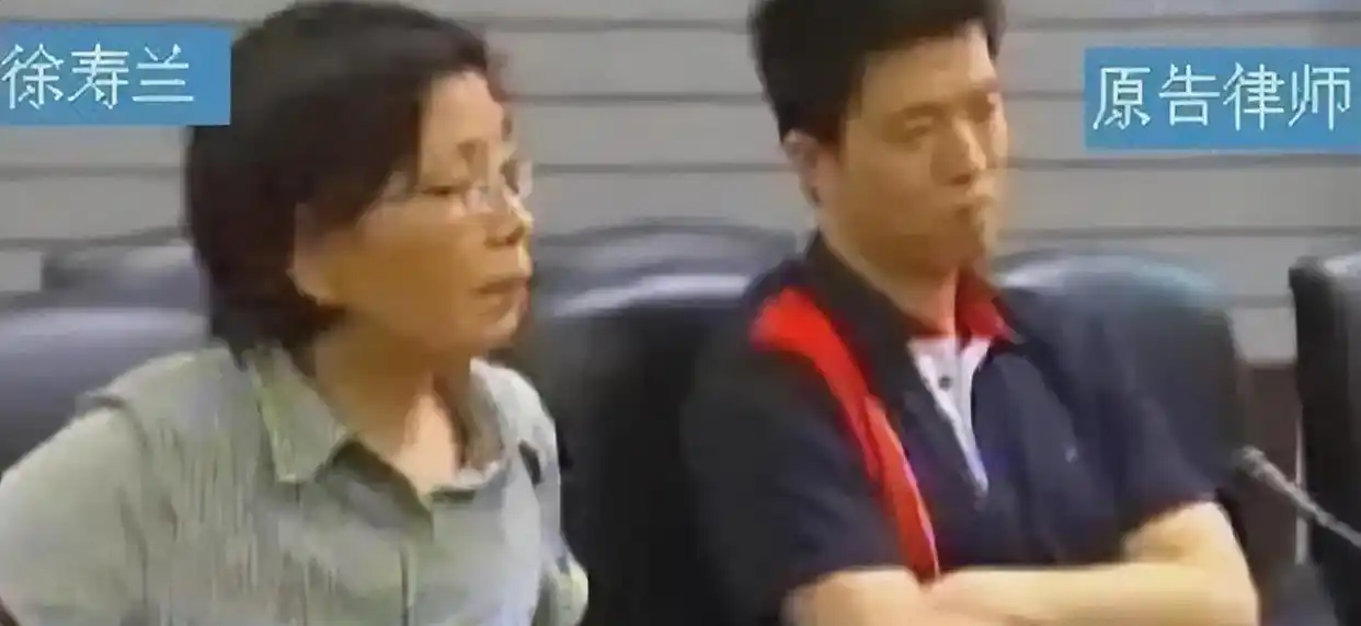 法官王浩与“彭宇扶人案”:正义与良知的较量