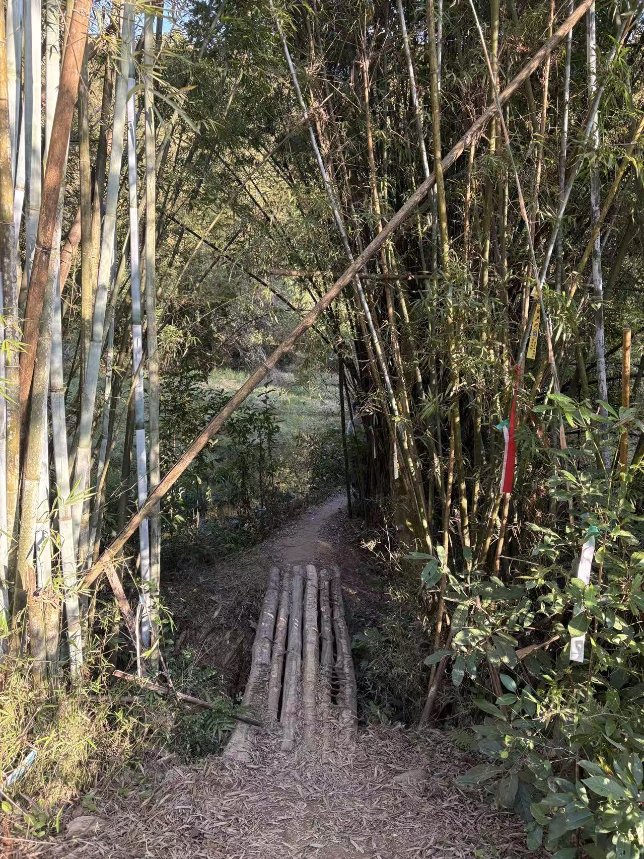 出差党救星！开车出差电子发票开具全攻略，汇总/单独开一看就会