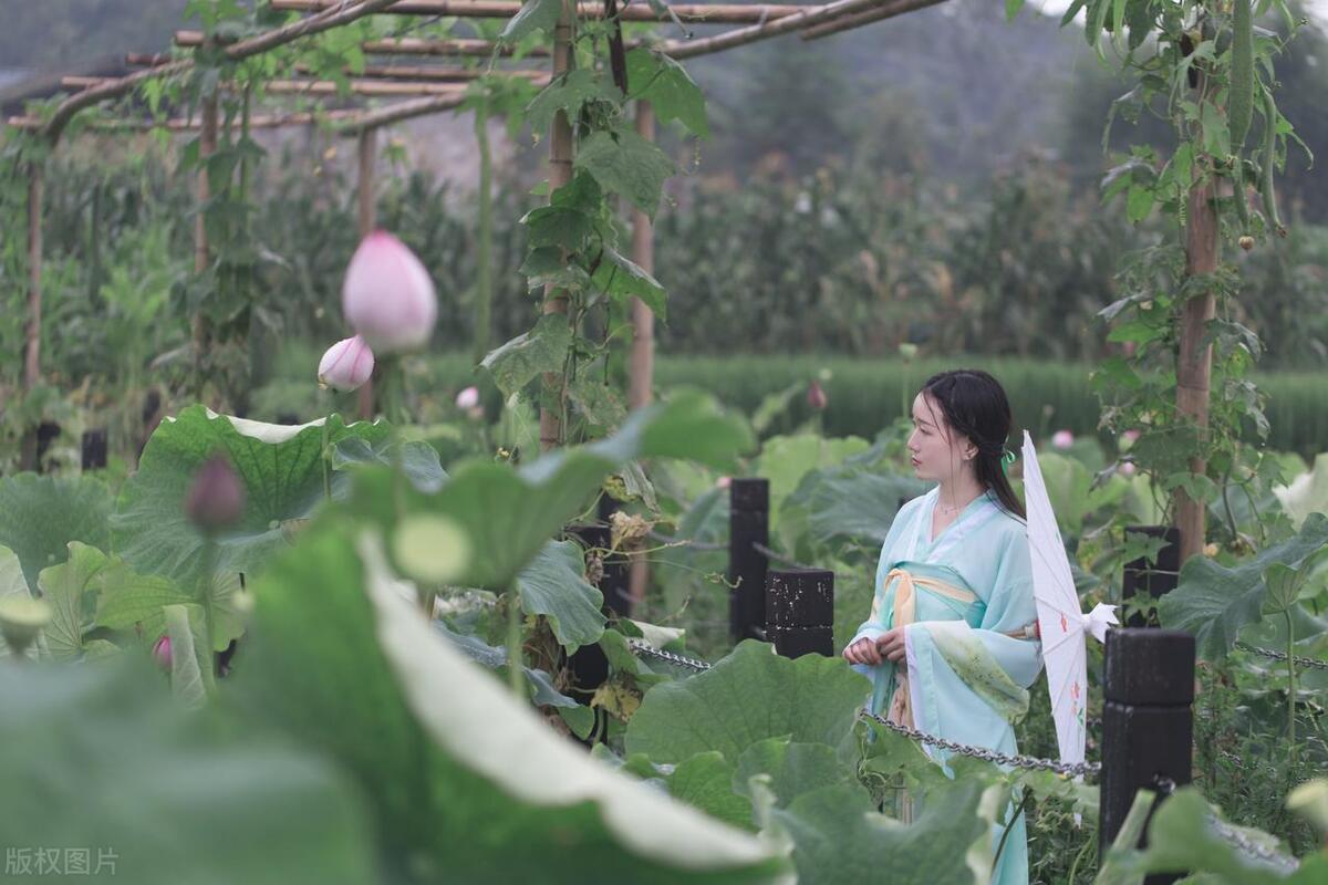 头条写作441多天,尝试7个赛道,收入不过百,为什么我还在坚持?