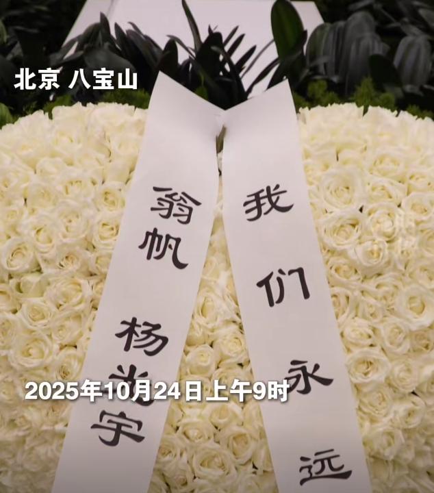 杨振汉赴八宝山送别杨振宁!露面回忆往事,透露了哥哥的一个遗憾