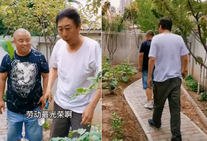 上春晚一夜成名的6位明星现状，住豪宅，年入千万，回老家当网红