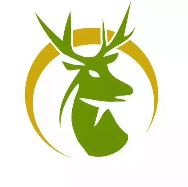 T11新融资暂缓饥渴，生鲜超市“寒冬”依旧