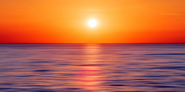 斗战神战熊技能(斗战神战熊技能点)