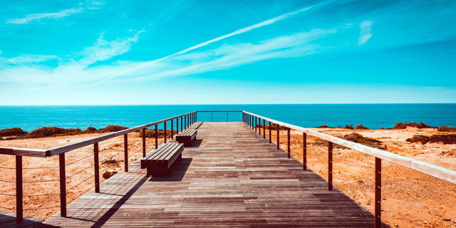 斗战神战熊技能(斗战神战熊技能点)