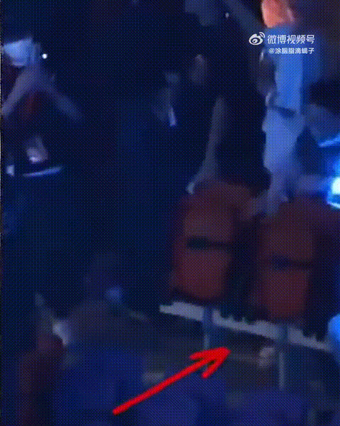 为何谢霆锋死心塌地爱王菲，因她25年未变！张柏芝却上热搜