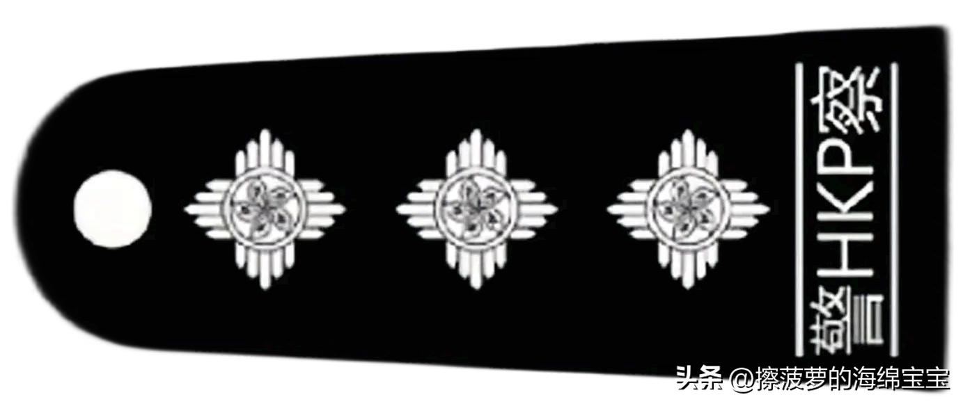 电影《逃学威龙》三部曲人物职级解析