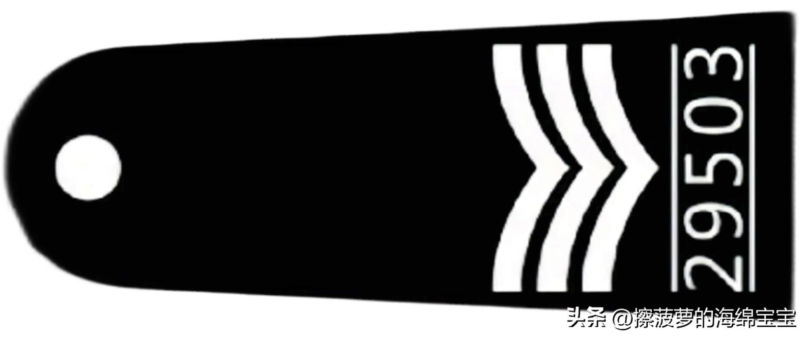 电影《逃学威龙》三部曲人物职级解析