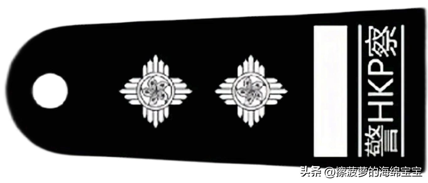 电影《逃学威龙》三部曲人物职级解析