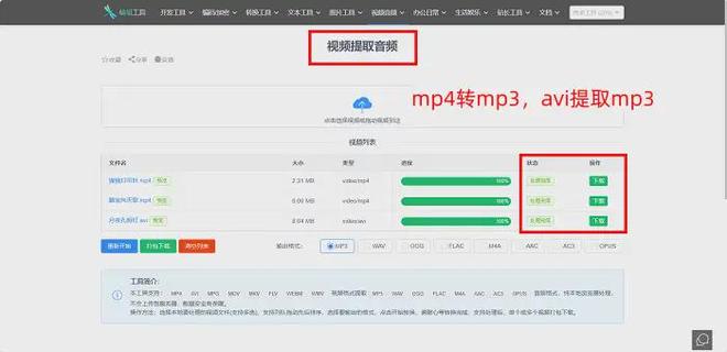 2025强烈推荐，7个视频转换大师，mp4提取音频效率翻倍