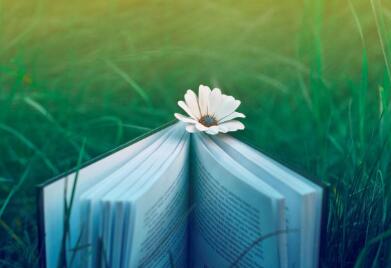 一般而言发表一篇普通论文版面费多少钱