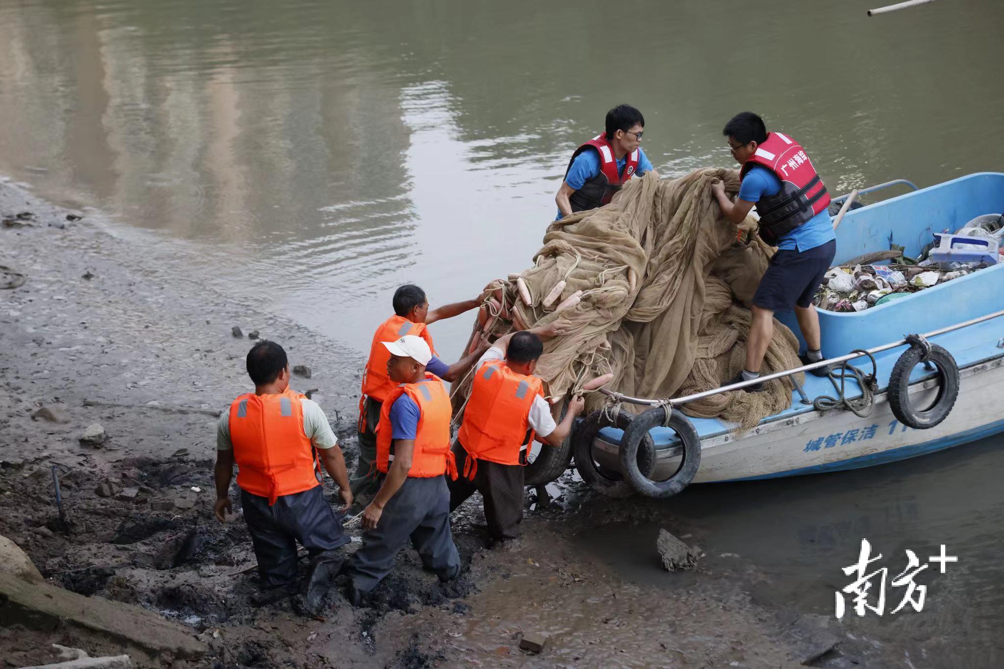白海豚误入广州内河6天：亟待救助，却难寻踪迹