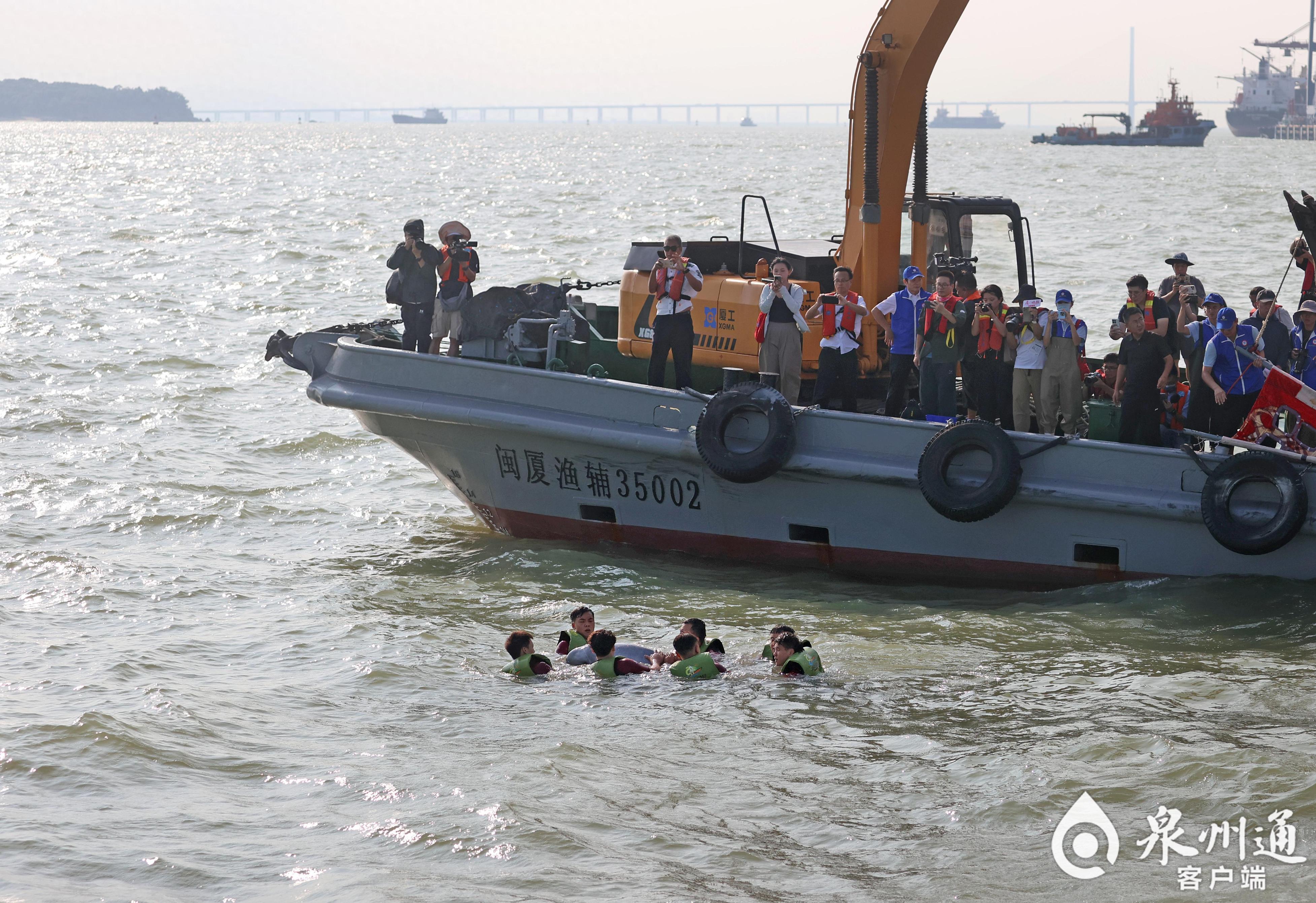 全国首例！从重伤搁浅到健康归海，中华白海豚福建“重生”记