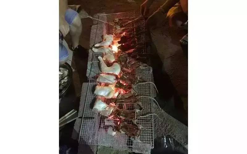 这只被端上餐桌的中华白海豚，让“吃货”这个词浸满了鲜血