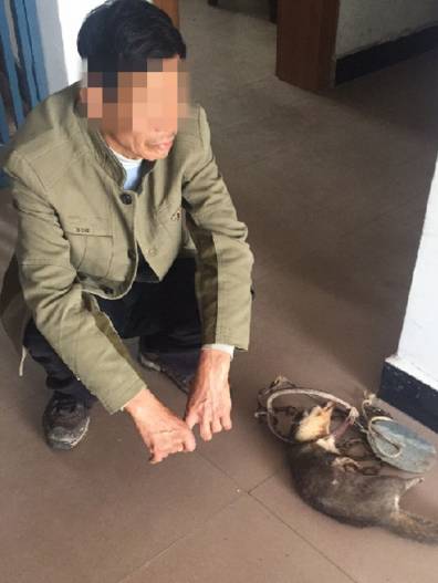 这只被端上餐桌的中华白海豚，让“吃货”这个词浸满了鲜血