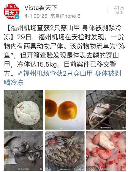 这只被端上餐桌的中华白海豚，让“吃货”这个词浸满了鲜血