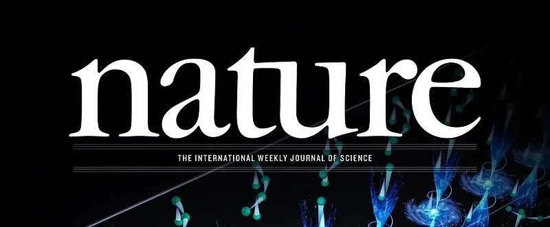 知网织的网，破了