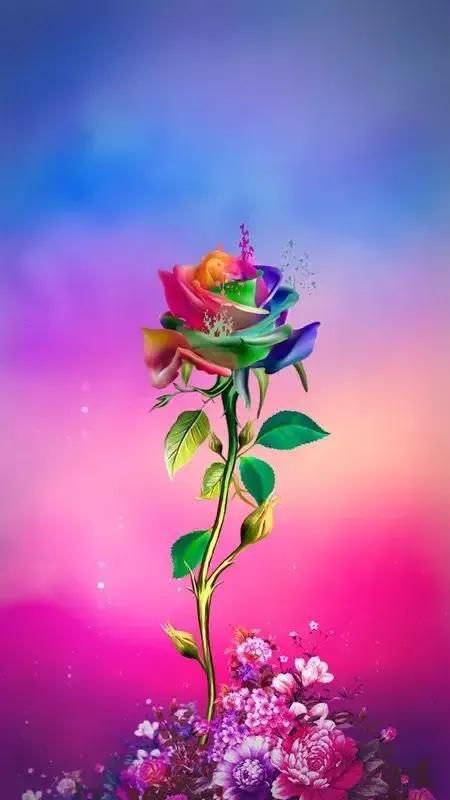 情人节寄语情话