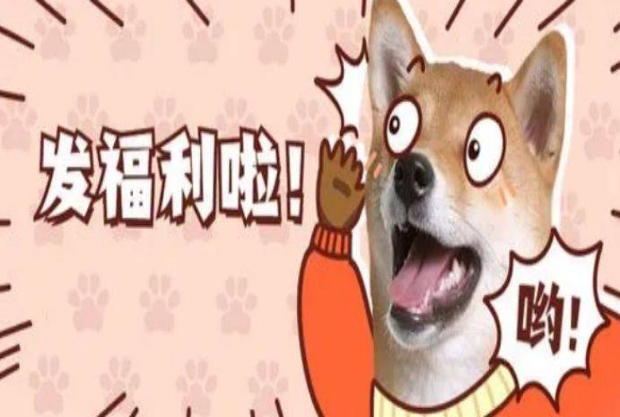 新手找不到视频剪辑素材？给你分享5个高清免费且持续更新的网站