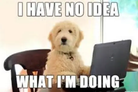 扑克牌K是King，Q是Queen，那么 J 代表哪个词？