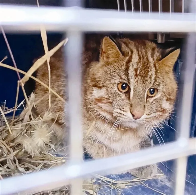 早读 | 10级大风+扬沙！5.2级地震！医院吊顶掉落！莫言来天津！海底捞报警！突发山火！知名女星道歉！两央企重组！