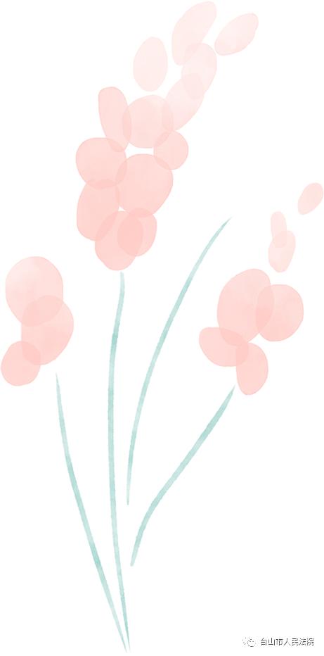 台山法院驻“信访超市”诉讼服务站15分钟调解一起涉侨纠纷