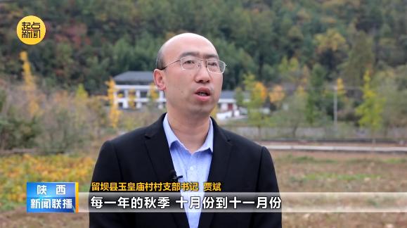 《陕西新闻联播》头条播出 | 陕西:推动“四好农村路”高质量发展 助力建设宜居宜业和美乡村