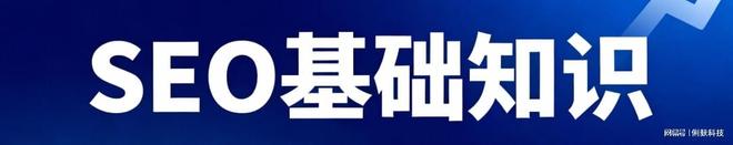 上海俐麸信息科技：专业SEO优化服务，助力网站流量与排名双提