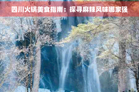 四川火锅美食指南：探寻麻辣风味哪家强