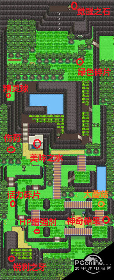 正在阅读:pokemmo神奥白金二周目图文流程攻略