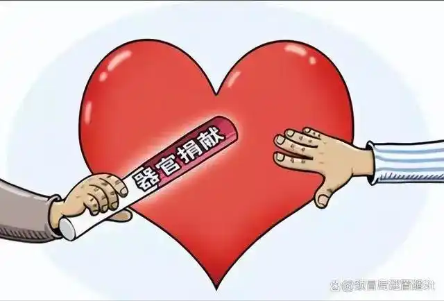 纪实:13年后回看药家鑫案:行刑前十分钟,他身上的悲剧仍在继续