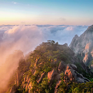 我不小心加了一个叫明星的QQ。然后他说有人泄露了他的QQ，让我配合调查，他有我的信息和IP地址