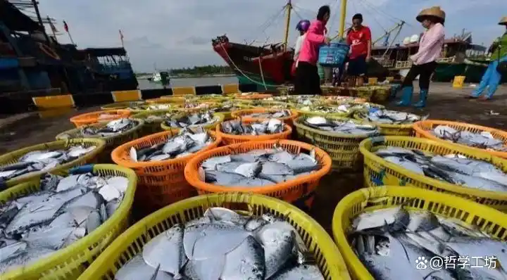 想了解海南琼海吗？让我们一同走进琼海的世界