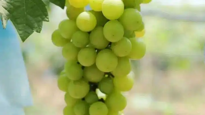 想了解海南琼海吗？让我们一同走进琼海的世界