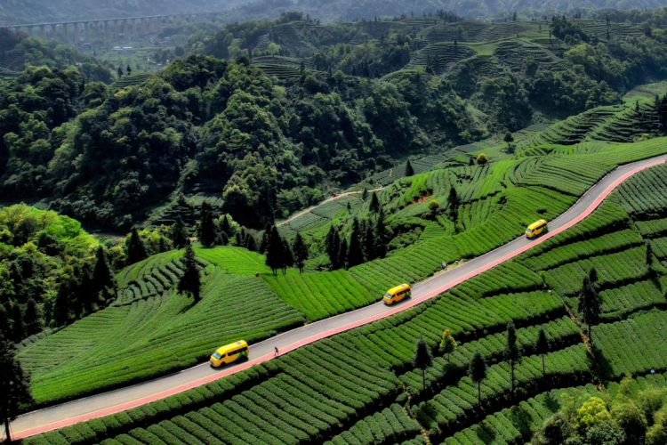 在雅安：遇见交旅融合的“诗与远方”