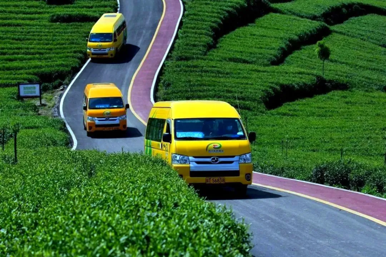 在雅安：遇见交旅融合的“诗与远方”