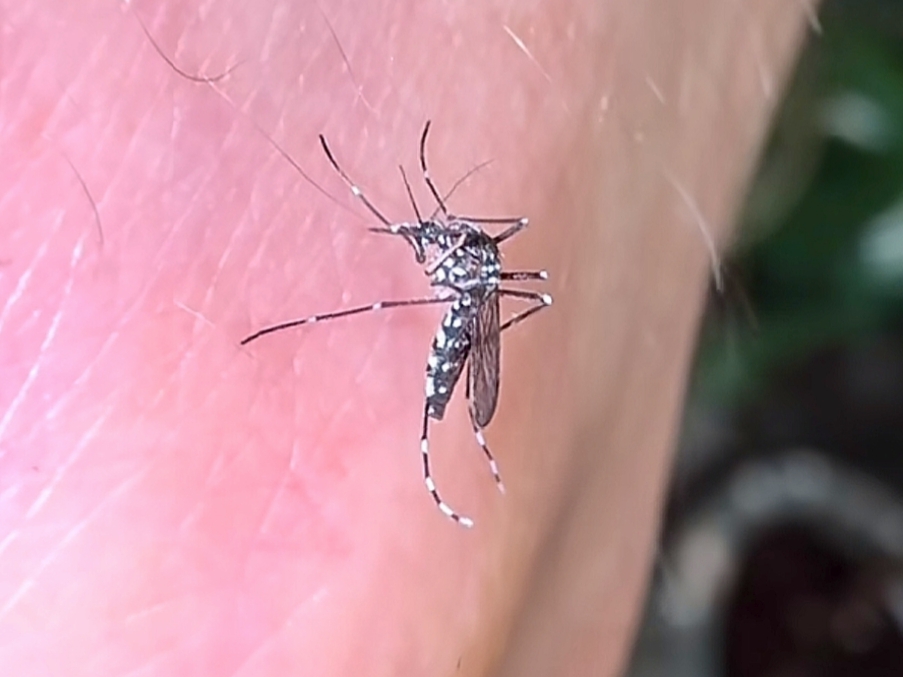 黄色网站“隐形钓人”全流程曝光：从弹窗到勒索，每步都藏杀招