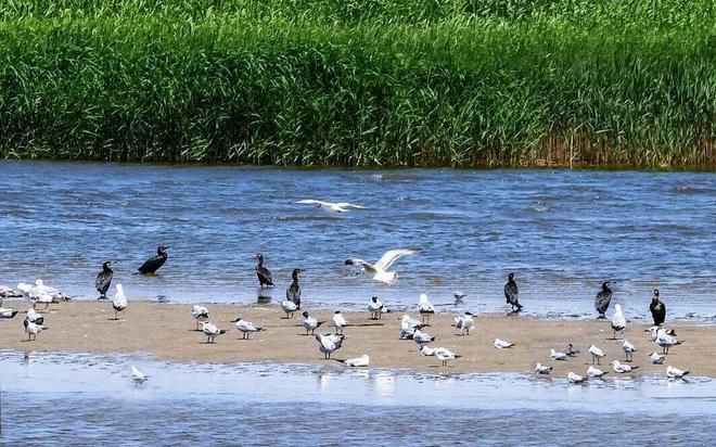 盘锦市及所辖三区一县实现国家生态文明建设示范区“全域覆盖”