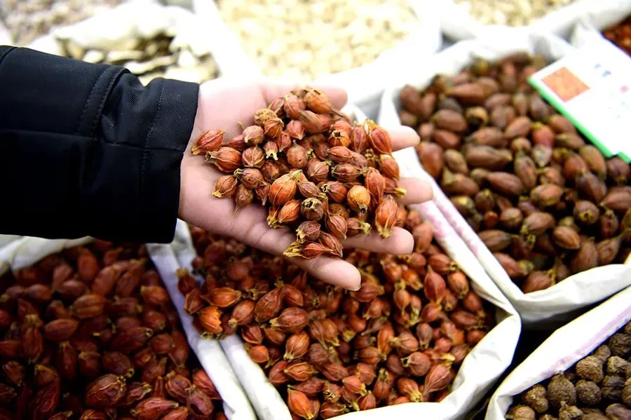 聚焦高质量发展｜安徽亳州：“千年药都”焕发“新”气象