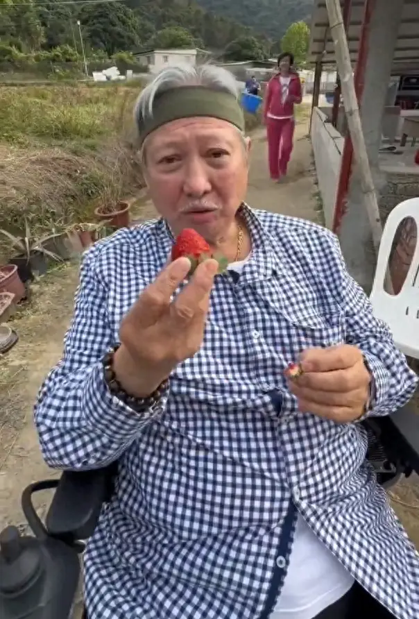 患癌去世、直播带货、得影后，9位红极一时的武打明星境况大不同